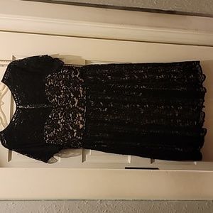 Torrid lace dress